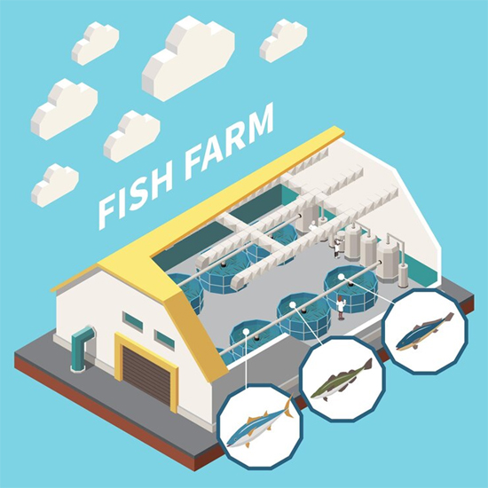 https://ru.freepik.com/free-vector/industrial-seafood-fish-farm-indoor-aquaculture-facility-isometric-interior-view-with-cutout-roof-wall-sections-vector-illustration_26761651.htm#fromView=search&page=1&position=4&uuid=d29a9e10-3fa2-4c64-8e48-04d065754c52&query=%D1%80%D1%8B%D0%B1%D0%BE%D0%B2%D0%BE%D0%B4%D1%81%D1%82%D0%B2%D0%BE